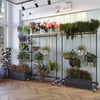 Moderne Einrichtung für Blumenladen mit Kleiderständern aus Eisen und Regalen obenauf zum Aufhängen von Pflanzen