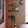 Schmale Wandmontierte Regale für Pflanzen im Wohnzimmer oder Büro als Dekoration rustikaler Stil